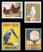 Owls, Poultry, Pigeons, Birds (341)